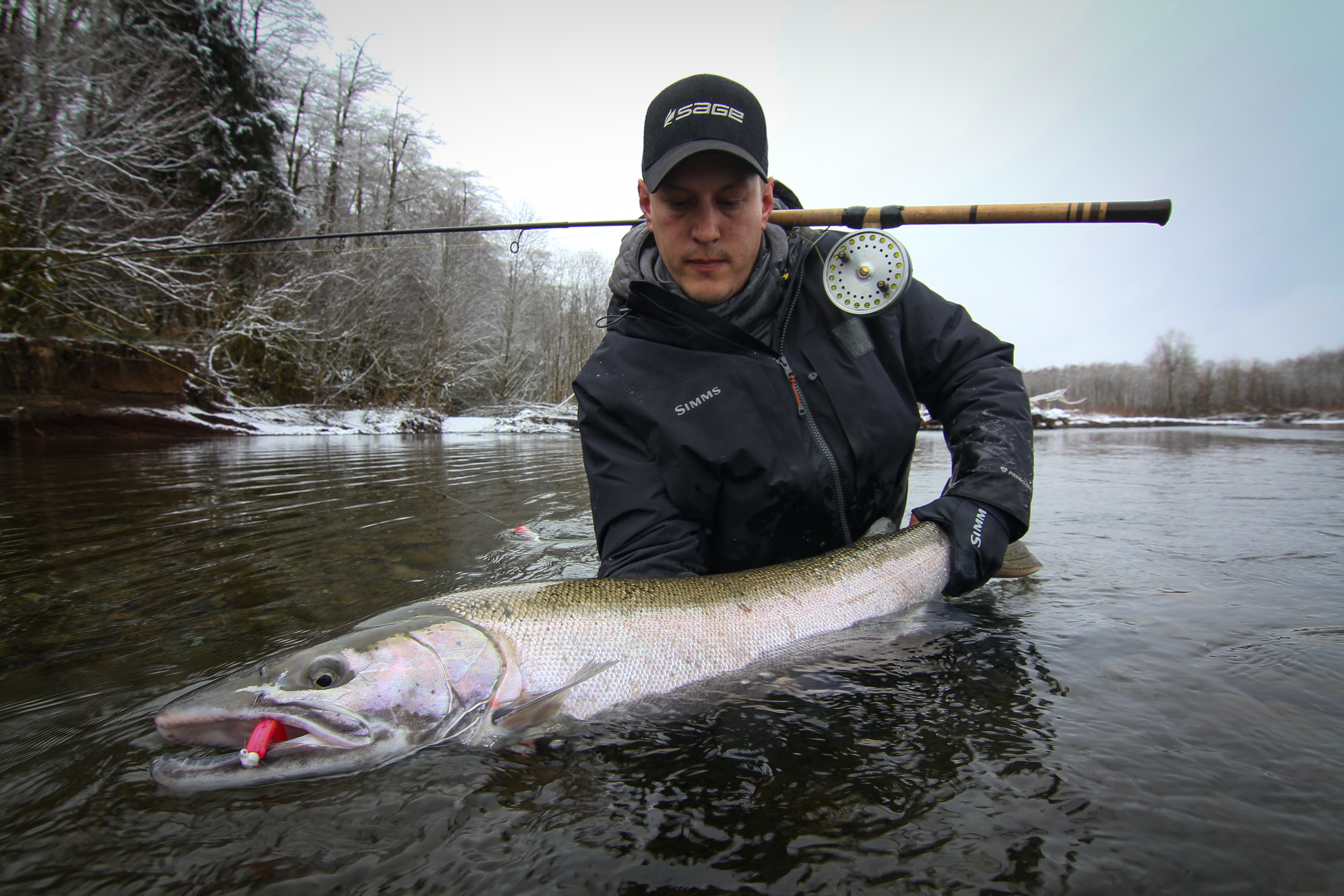 Olympic Peninsula Trophy Wild Steelhead, 2024! – Joe Princen Guide